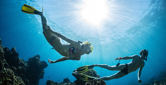 Snorkel in pristine waters